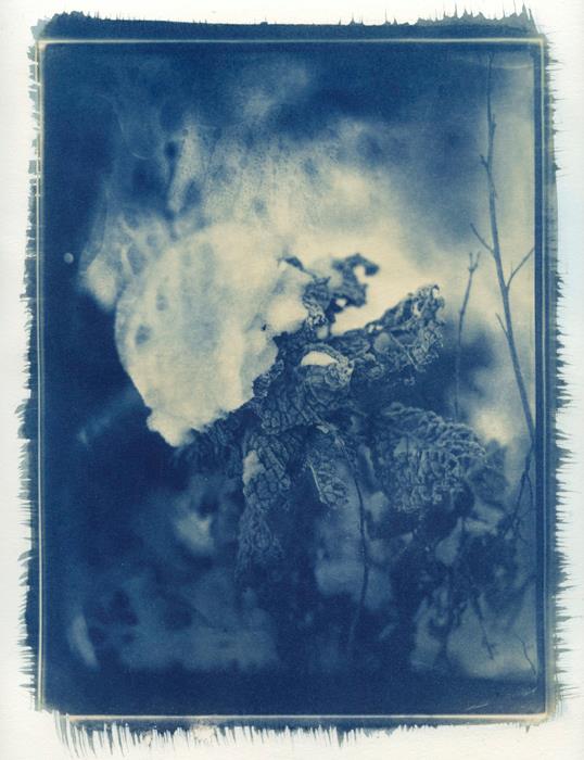 cyanotype, wet plate, ambrotype